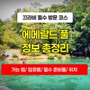 늘푸른어린이공원 화장실 | 태국 끄라비 에메랄드 풀 여행 총정리: 가는 법, 입장료, 투어, 위치, 예약, 블루 풀, 크리스탈 풀,