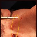 서연성형외과의원 이미지