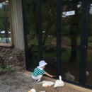 해솔목장 이미지