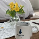 오오르트 이미지