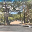 척산시장 | 속초 실내 여행지 추천 - 척산온천휴양촌 - 방문후기 및 정보공유 !!