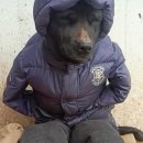 임실정마트 | 갑차기스러운데 10월 취소해도 돼?