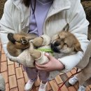 충훈공원 옆 이미지