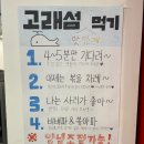 고래섬 본점 이미지