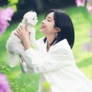 하니캣 이미지