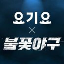 요기요 - 포항시 북구 | 요기요