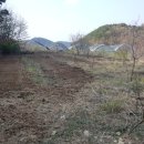 경주시건천읍화천보건진료소 이미지