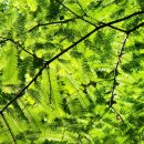 정관 구목정공원 이미지