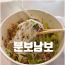 분보남보 이미지