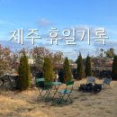 대일할인마트 | [제주] 동쪽 성산 독채 에어비앤비 휴일기록 그린동 내돈내산 추천 후기(자쿠지ㅇ, 바베큐 ㅇ)