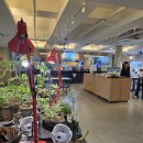 청수선원 | 수성구청역 근처 카페 | 청수67카페 자몽주스 후기