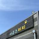 어뮤즈퍼피 | 천안애견카페 어뮤즈퍼피, 견생 첫 강아지 놀이터 후기