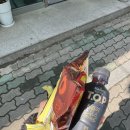 대구체육고등학교 | [소방공무원] 대구 소방체력시험 후기