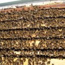 호운농장 이미지