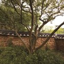 효곡재사 이미지