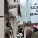 고실농장 이미지