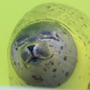 천호1동주민센터 이미지