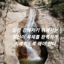 오늘의 걷기는... 172회 이미지