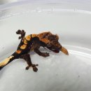 준성농장 이미지