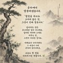 I who have nothing, dililar, 이미지