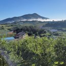 장자골마을 이미지