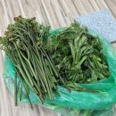 수종농장 이미지