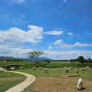 자룡목장2 | 나트랑 2일차 I 베나자 판랑 사막 투어 후기 추천 복장, 베트남 리게일리어 골드 호텔