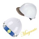 메그네이트 이미지