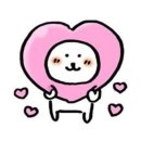 나인원 | 강릉여행 애견동반펜션 마당이 있는 강릉나인원펜션 방문후기 _강아지추가요금없음