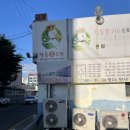 낙동생오리 이미지