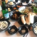 천년소나무정육점