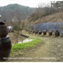 형수농장 이미지