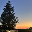 제주 덕수재 이미지