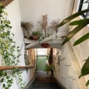 11500-5-38-131 | APEC Forum on Women and Youth Empowerment [2025 APEC Forum on WYE] 참가후기 (1) 대만에서 혼자놀기...