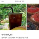 볕이드는곳 벧디 [제주 은수길] <b>볕이</b> <b>드는</b> <b>곳</b> <b>벧디</b>