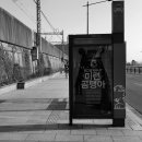 여우사람 이미지