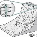 테일러스