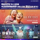 속초문화예술회관 이미지