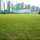 수원-0821 이미지