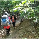 내곡동406 이미지