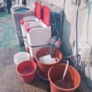 로얄카크리닉 이미지