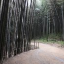 남송정경로당 | 영암 총취정(叢翠亭)