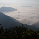 성심할인마트 이미지