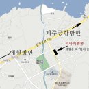 비바리 이미지