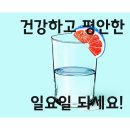 W스토아청와약국 티스토리