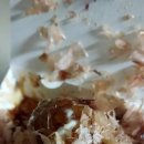 타코비 야당점 이미지