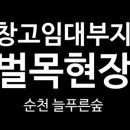 주식회사 푸른나무