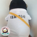 🐧💛자연펭 떤배님의 무나후기-삼행시 추가 (경고:길어요~ 많이~) 이미지