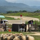 삼삼오오목장 이미지