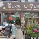 꽃나라，나무나라